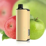 ALIBARBAR INGOT 9000 Puffs Double Apple