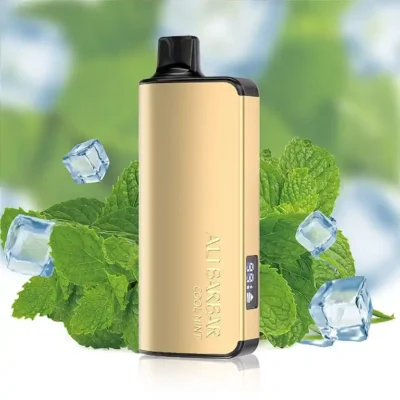 Alibarbar Ingot 9000 Puffs Cool Mint Alibarbar Ingot 9000 Puffs Cool Mint