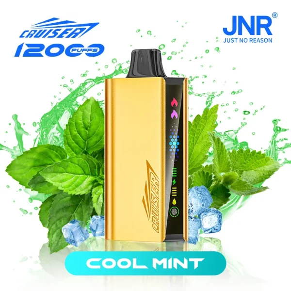 COOL-MINT Cool Mint | JNR Cruiser Gold Disposable Vape 12000 Puffs