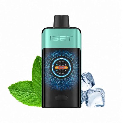 IGET ONE – Mountain Spring Mint Ice